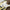 IO Rick Sticker Printify