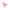 Pink Pony Tones Printify