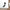 Snow Owl Sticker Printify