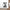Jobs Rating Sticker Printify