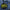 DYFJ Button Printify