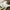IO Rick Sticker Printify