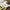 FF Jobu Sticker Printify
