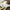 IO Rick Sticker Printify