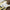 Syringe Rick Sticker Printify