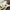 FF Jobu Sticker Printify