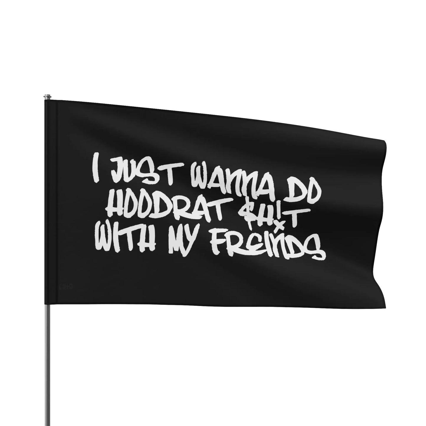 I Just Wanna Do Hoodrat Sh*t With My Friends Flag Printify