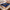 Andy Fredricks Blanket Printify