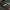 Medic Pickle Sticker Printify