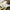 Watch Medic Sticker Printify