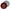 Capital City Cookie Button Printify