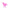 Pink Pony Tones Printify