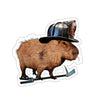 Salty Capybara Sticker Printify