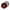 Capital City Cookie Button Printify
