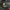 FF Kermit Sticker Printify
