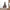Andy Fredricks Sticker Printify