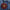 Capital City Cookie Button Printify