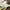 Marathon Sticker Printify