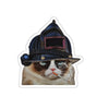 FF Grumpy Cat Sticker Printify