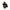 First Due Tyler Sticker Printify