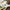 FF Jobu Sticker Printify